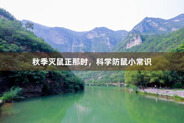 秋季灭鼠正那时，科学防鼠小常识