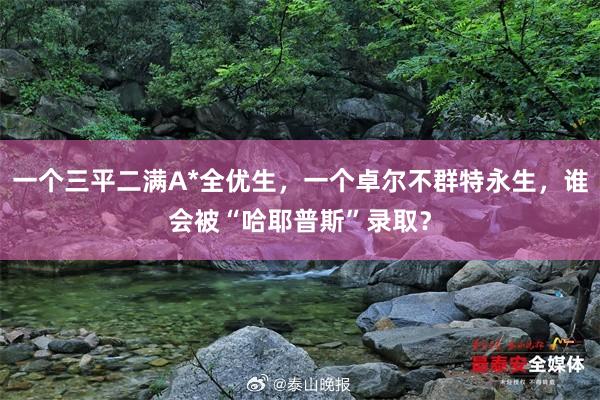 一个三平二满A*全优生，一个卓尔不群特永生，谁会被“哈耶普斯”录取？