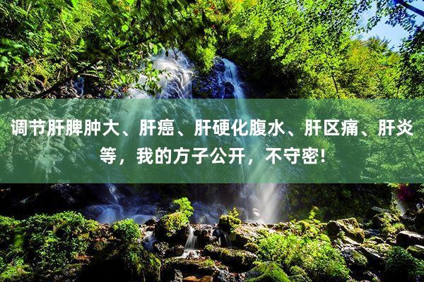 调节肝脾肿大、肝癌、肝硬化腹水、肝区痛、肝炎等，我的方子公开，不守密!