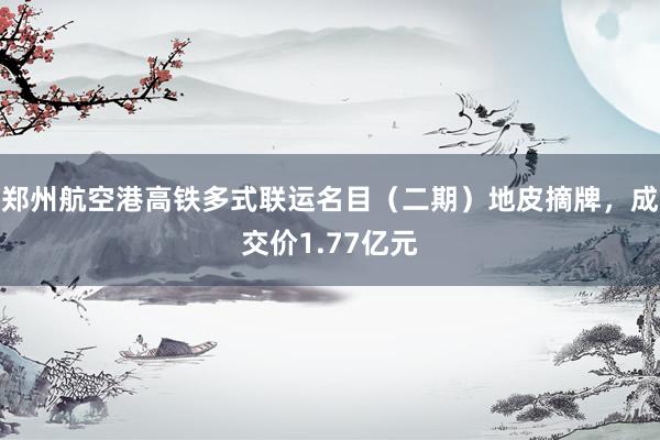 郑州航空港高铁多式联运名目（二期）地皮摘牌，成交价1.77亿元