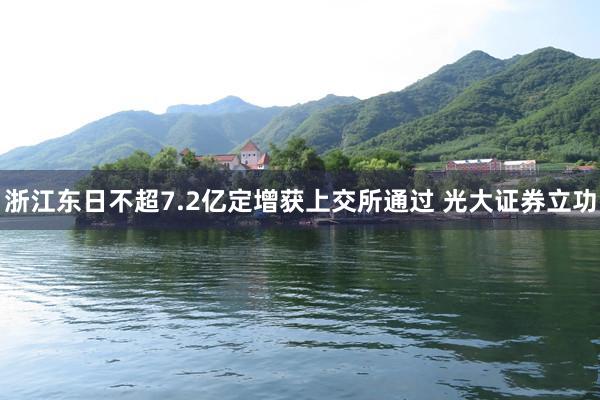 浙江东日不超7.2亿定增获上交所通过 光大证券立功