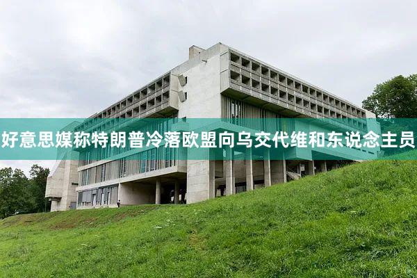 好意思媒称特朗普冷落欧盟向乌交代维和东说念主员